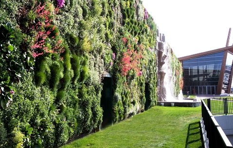 E' italiano il giardino verticale più grande del mondo