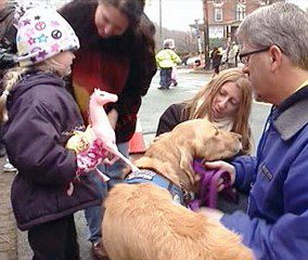 Pet therapy per i bimbi di Newtown. Arrivano i "comfort dog".