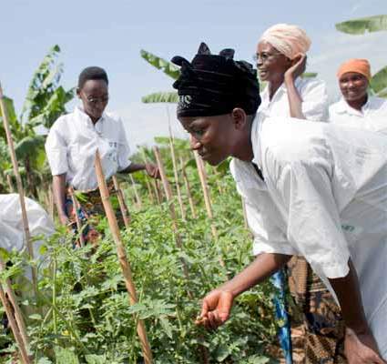 FAO: i piccoli agricoltori investono nel settore 4 volte più dei governi