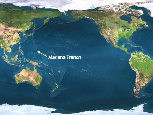 Fossa Marianne: c'è vita anche a 11 km di profondità