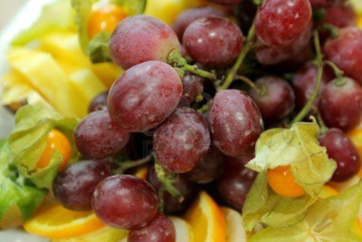 Combattere l'Alzheimer a colpi di buccia… d'uva