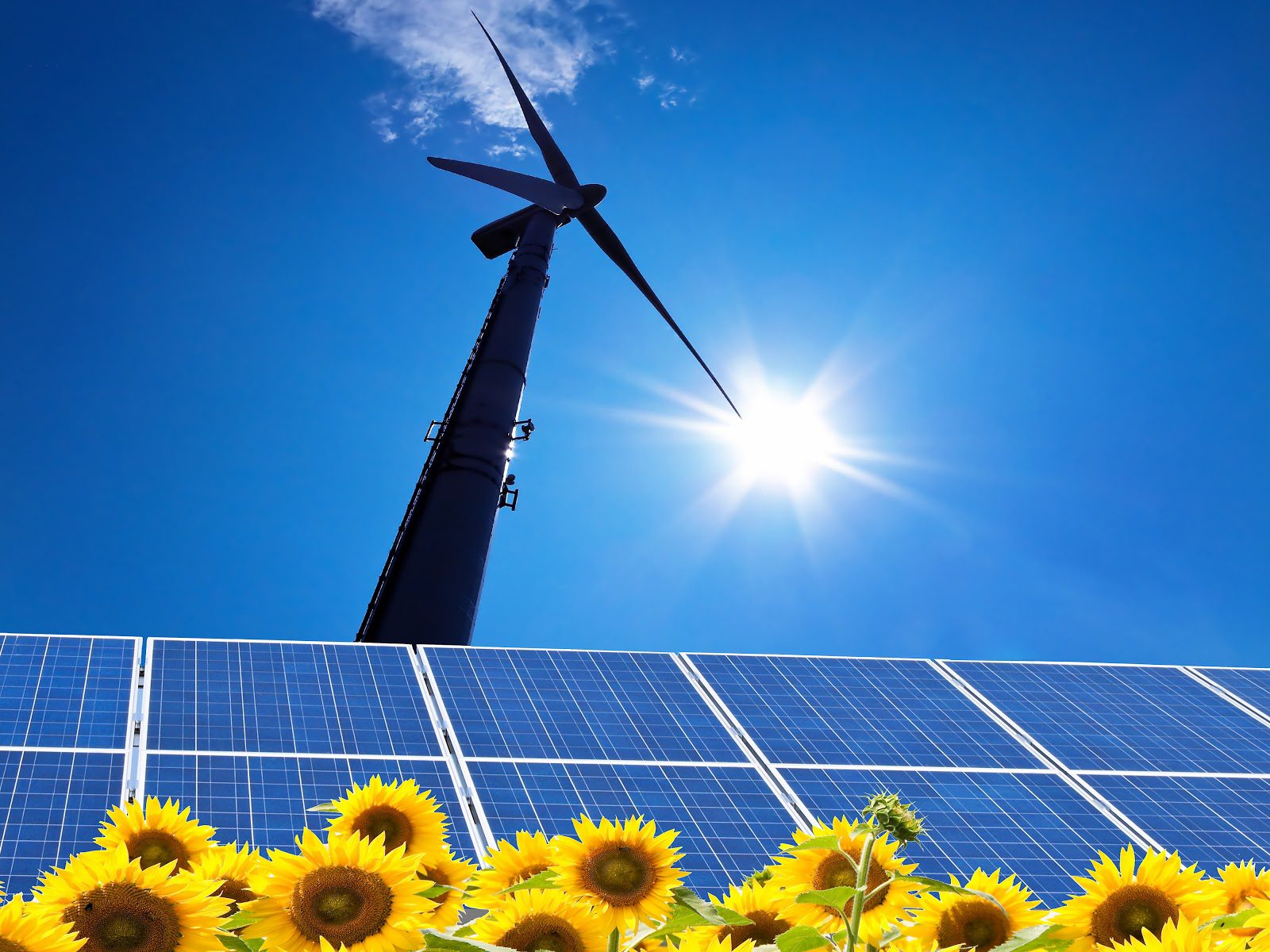 Energie rinnovabili: 9 italiani su 10 favorevoli al fotovoltaico