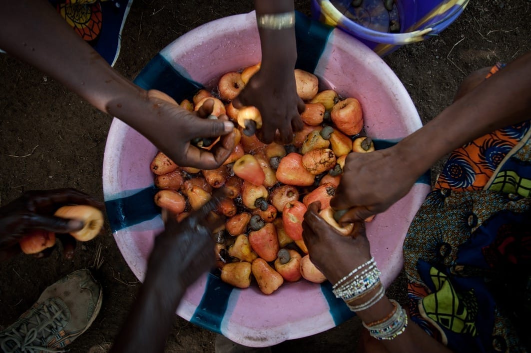 Alimenti: anacardi, i semi ‘del cuore’ contro la povertà   