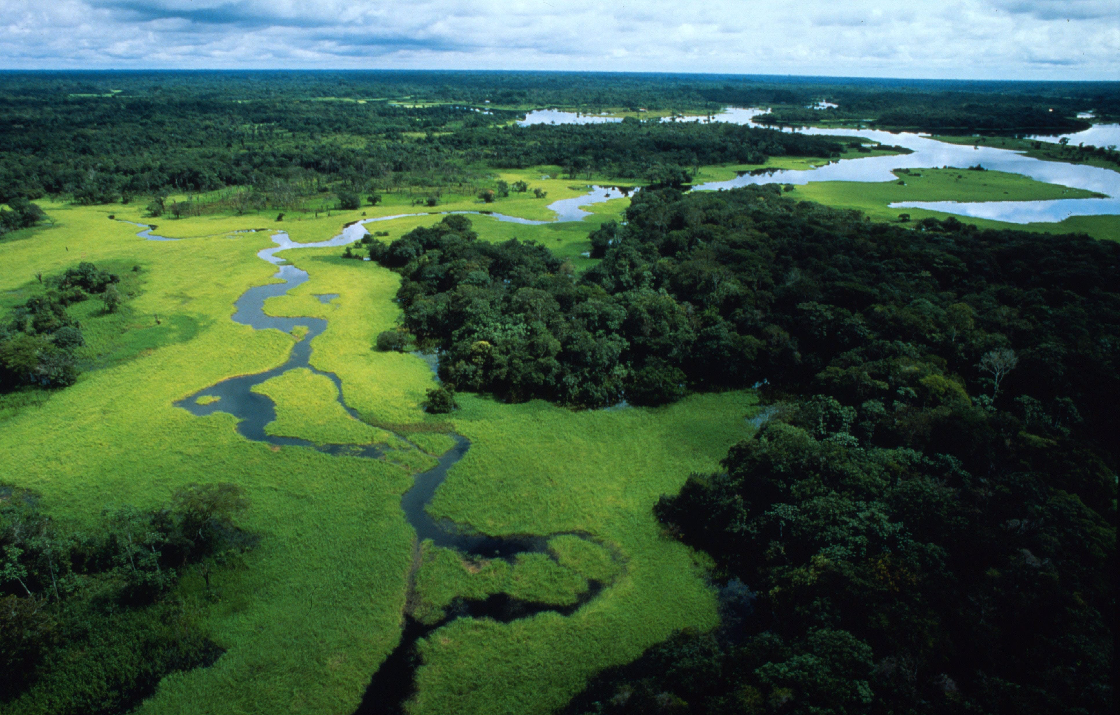 Sud America e ambiente: perché il trattato di Escazú rappresenta un primo passo