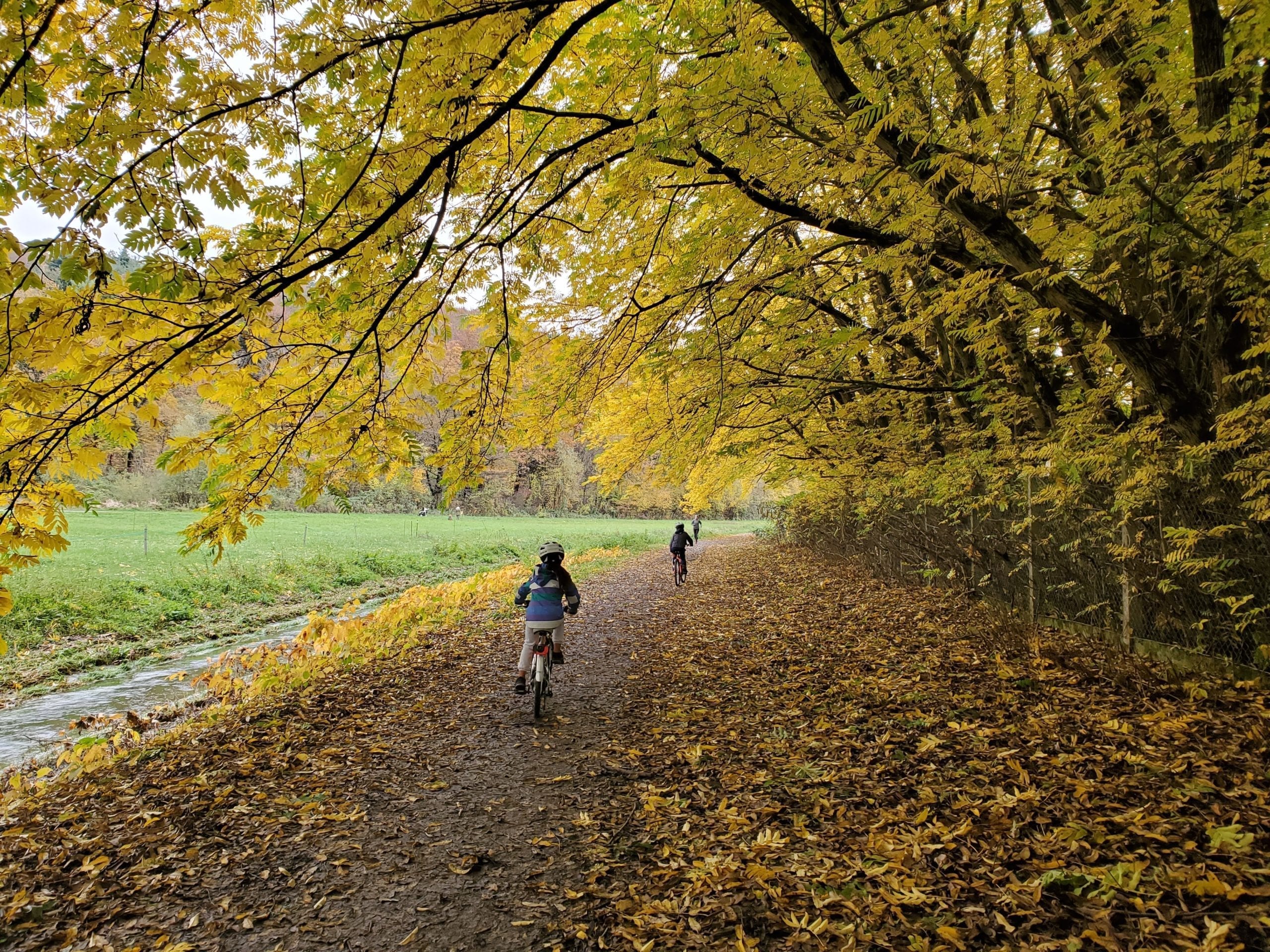 Bonus bici: click day il 3 novembre