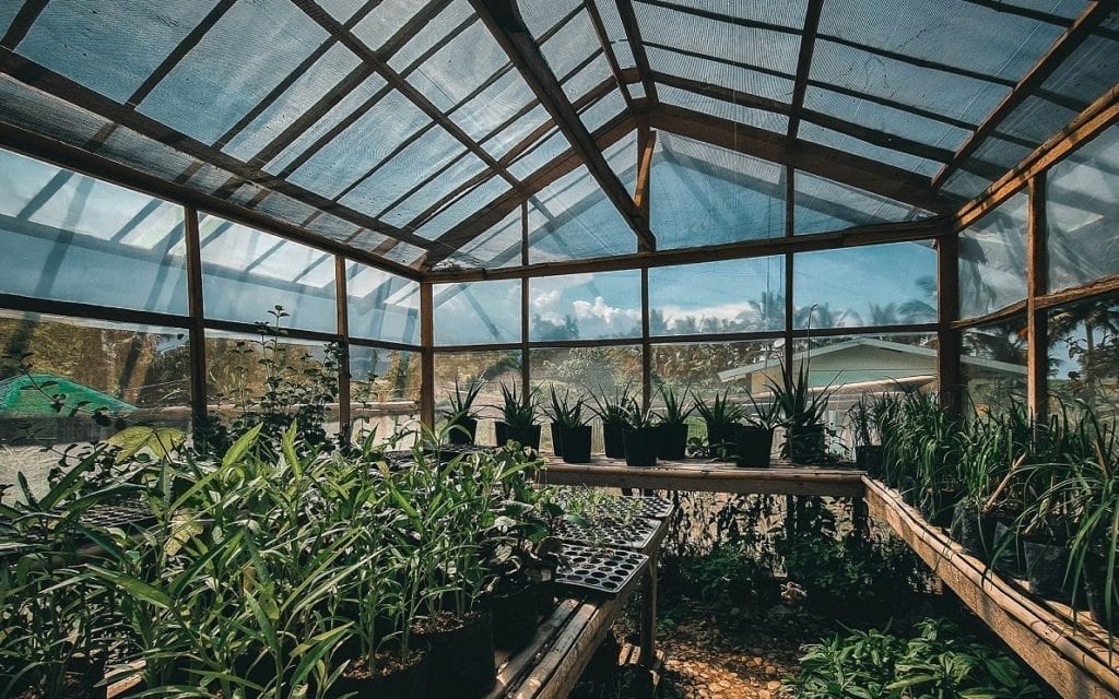 Che cos'è l'effetto serra? I gas serra e il fenomeno