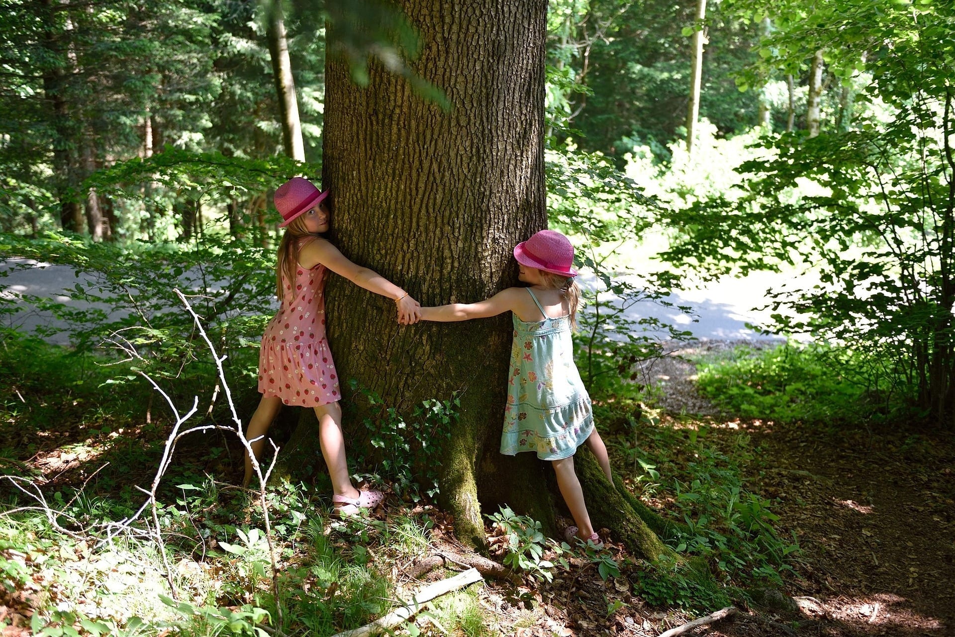 Natura ed educazione: ecco il progetto “Asilo nel bosco”