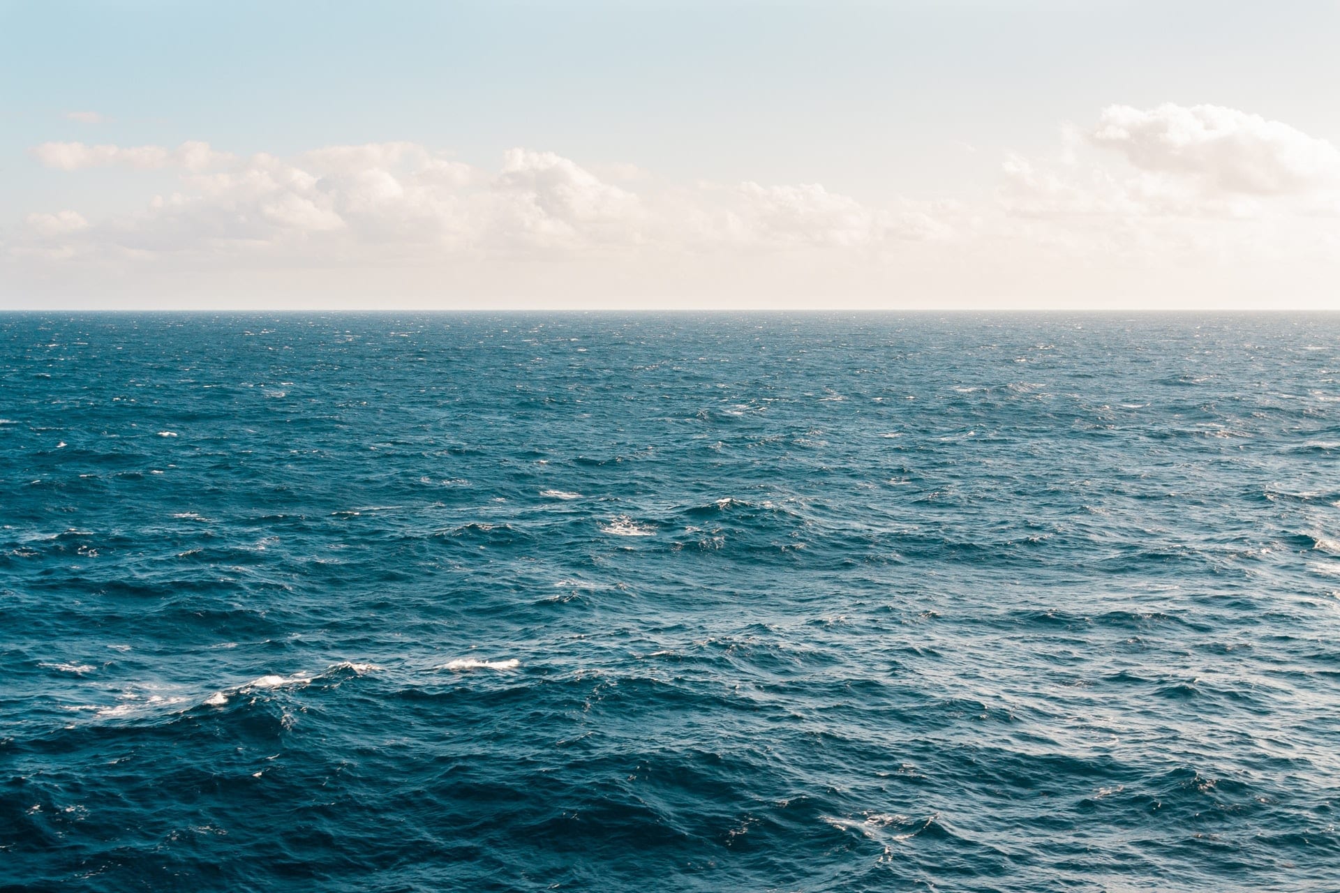 Inquinamento marino: ecco gli “spazzini” del mare
