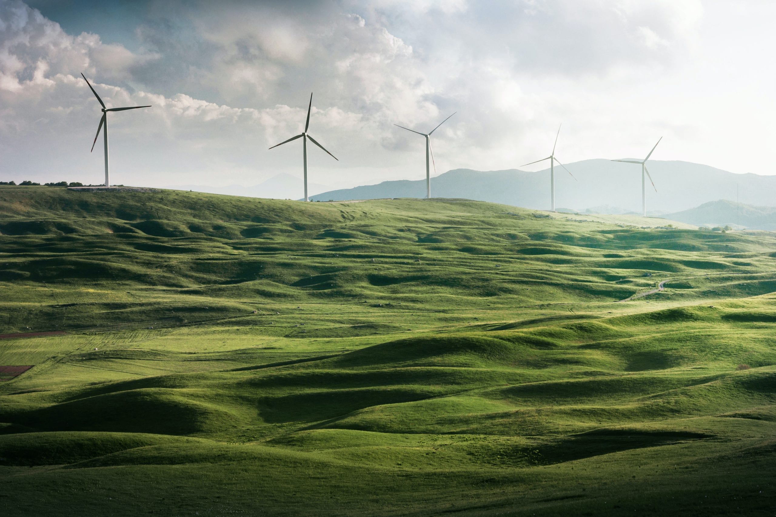 Energia pulita: come ridurre l’impatto dell’eolico sull’ambiente