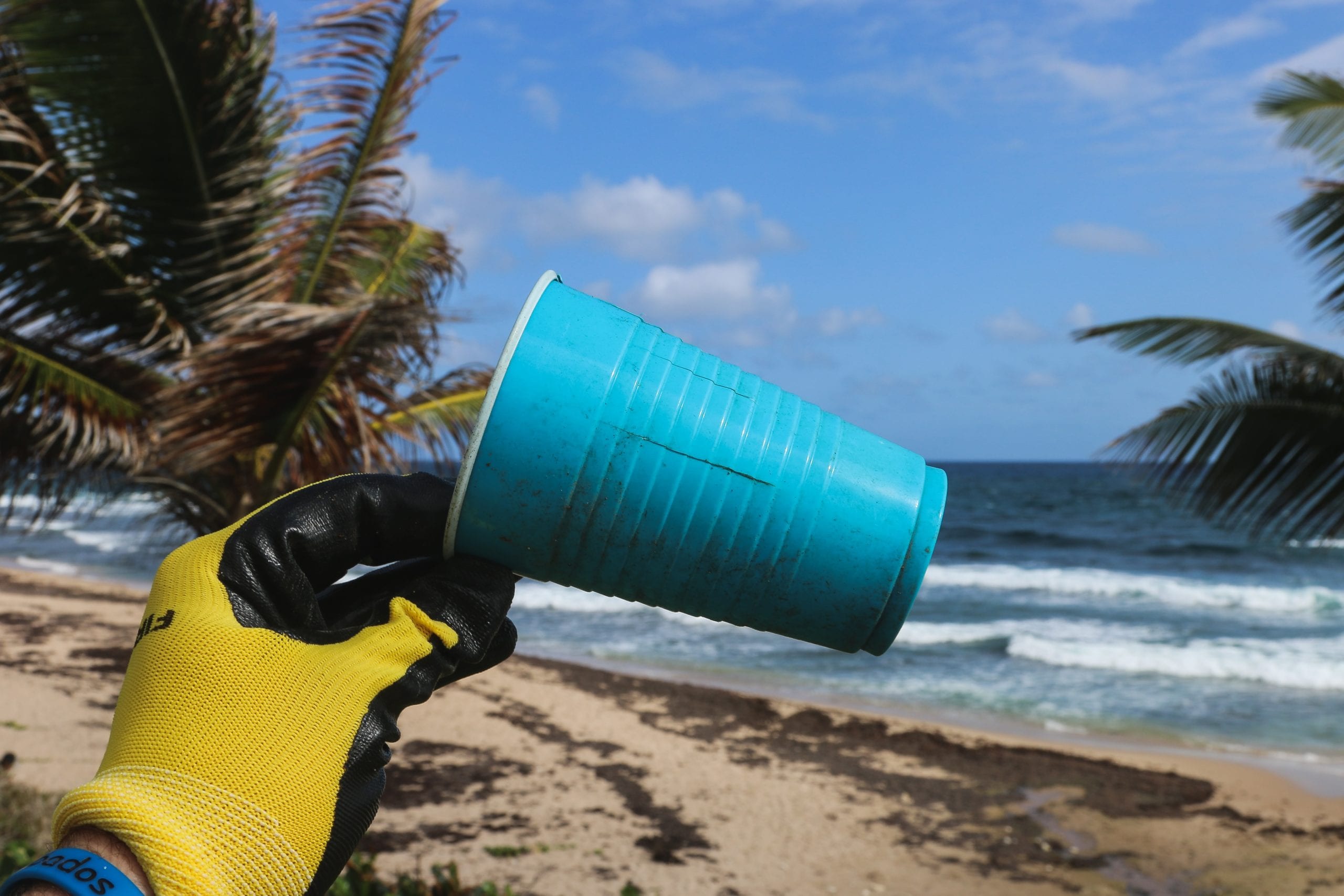 Pulire le spiagge dalla plastica: la sfida continua (anche a estate finita)