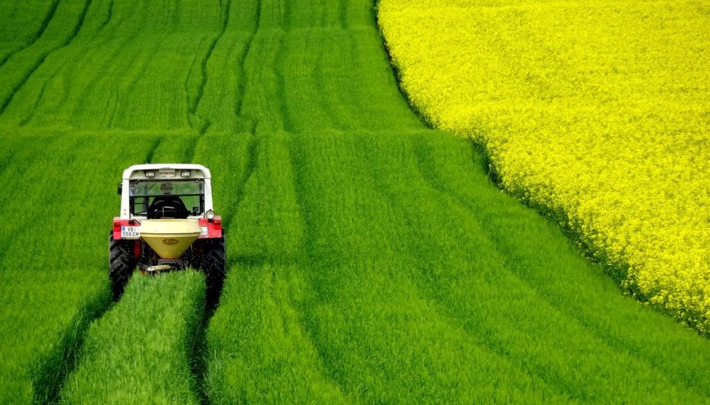 Rete Rurale Nazionale: cos'è e come può innovare il mondo dell'agricoltura La Rete Rurale Nazionale integra politiche ambientali, produttive e sociali con l’agricoltura come veicolo di una crescita sostenibile.
