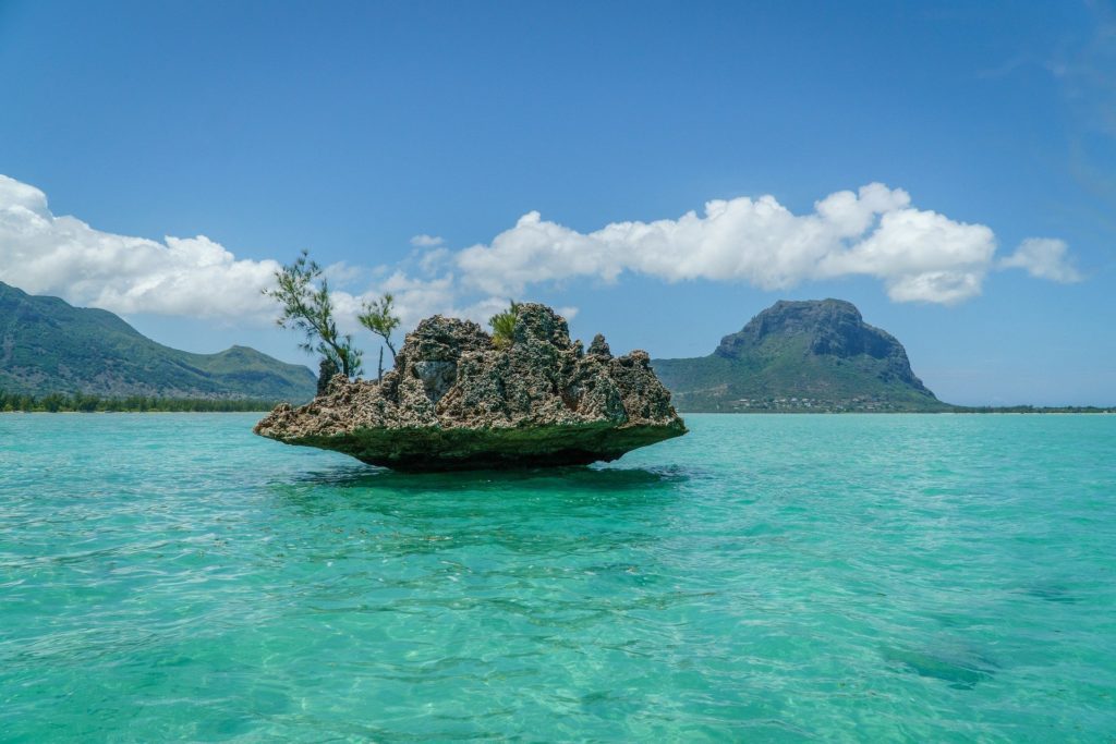 Vacanze al mare a Natale: 5 mete incredibili Maldive, Seychelles, Mauritius, l'isola della Réunion e quella di Martinica aspettano turisti italiani per regalare loro calde vacanze di Natale 