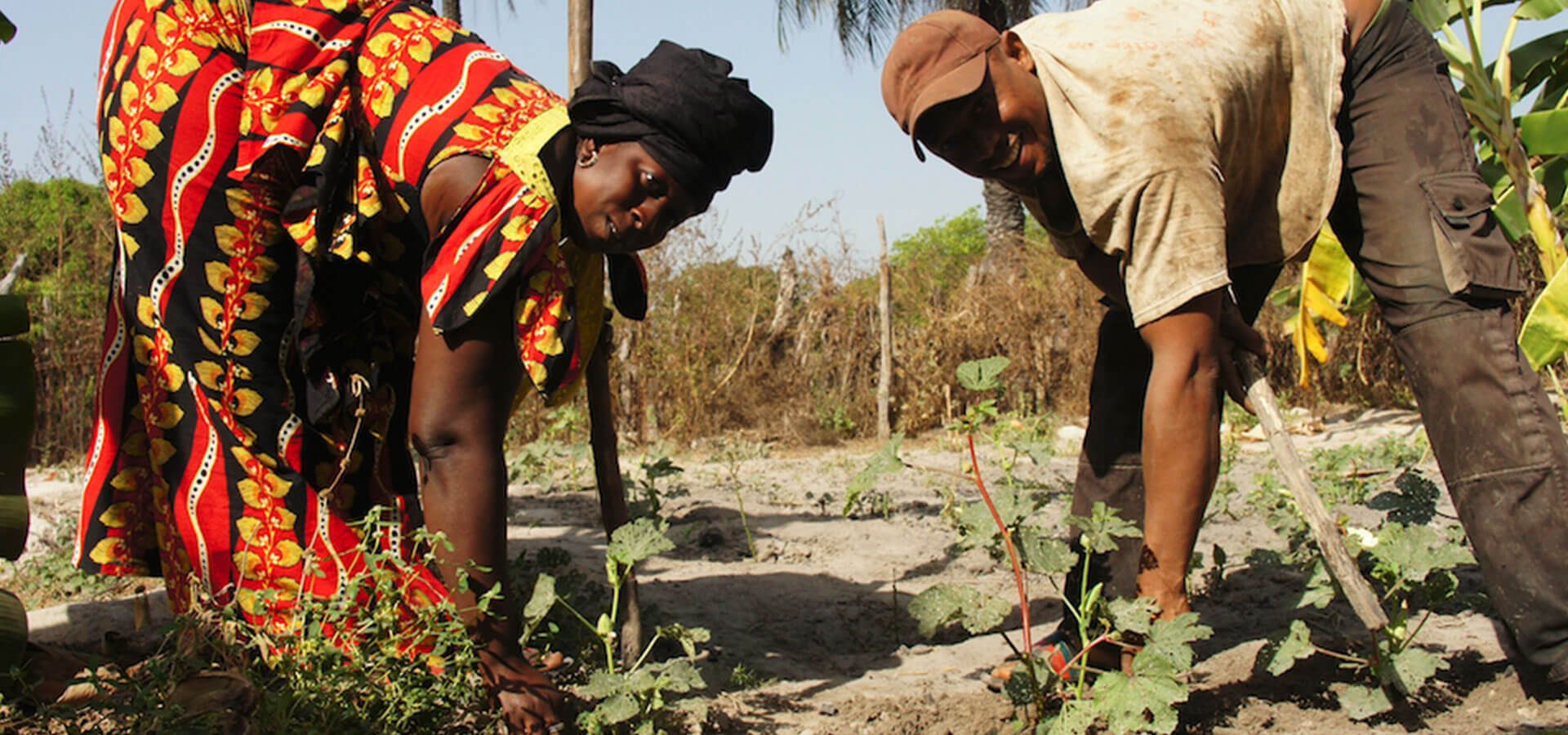 Avvio attività settore agricolo-Senegal e giovani-progetti per restare e ripartire