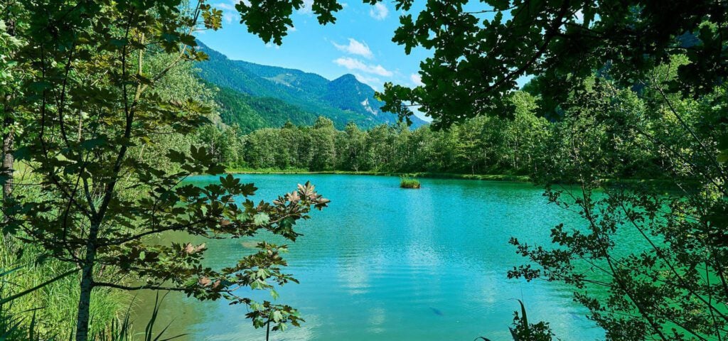 Aree protette italiane, un immenso patrimonio per l'umanità