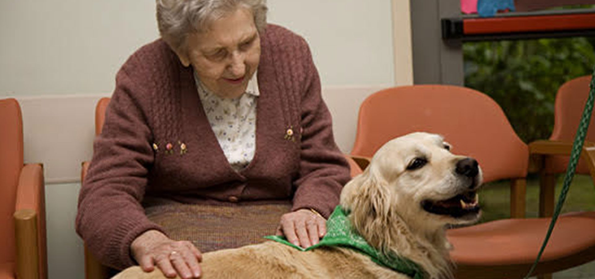Animal-assisted interventions: the relationship at the center