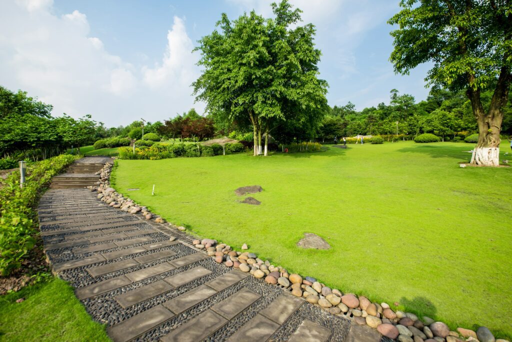 orto-botanico In foto un sentiero di un giardino con piante botaniche