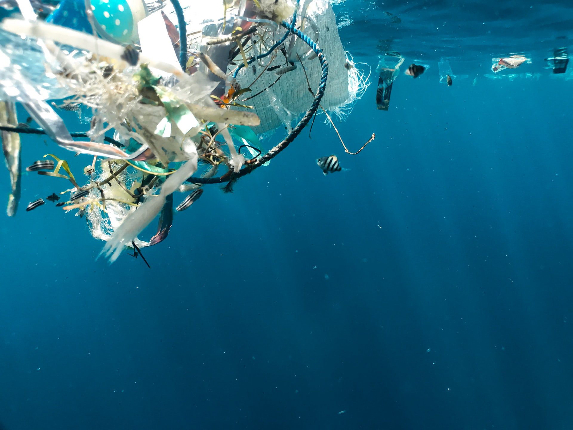 Ridurre i rifiuti marini si può! l’Italia vince il LIFE AWARDS 2022
