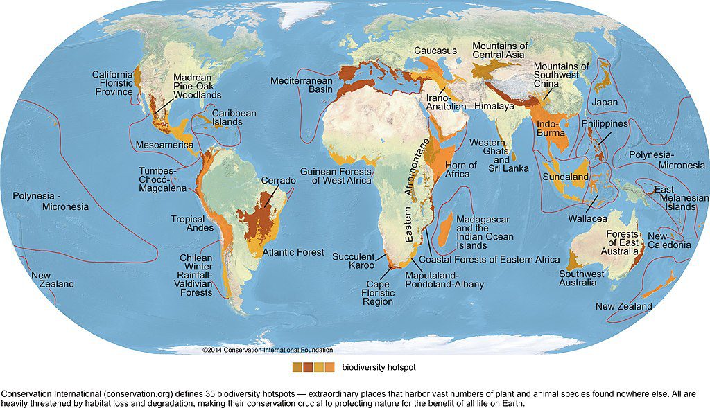La mappa mostra alcuni hotspot di biodiversità sparsi in tutto il mondo.