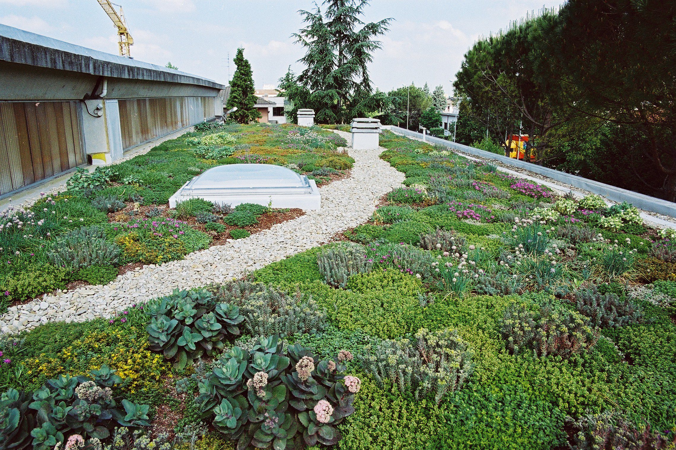 Sistemi Green-roof, l’architettura del tetto verde: i vantaggi per l’ambiente