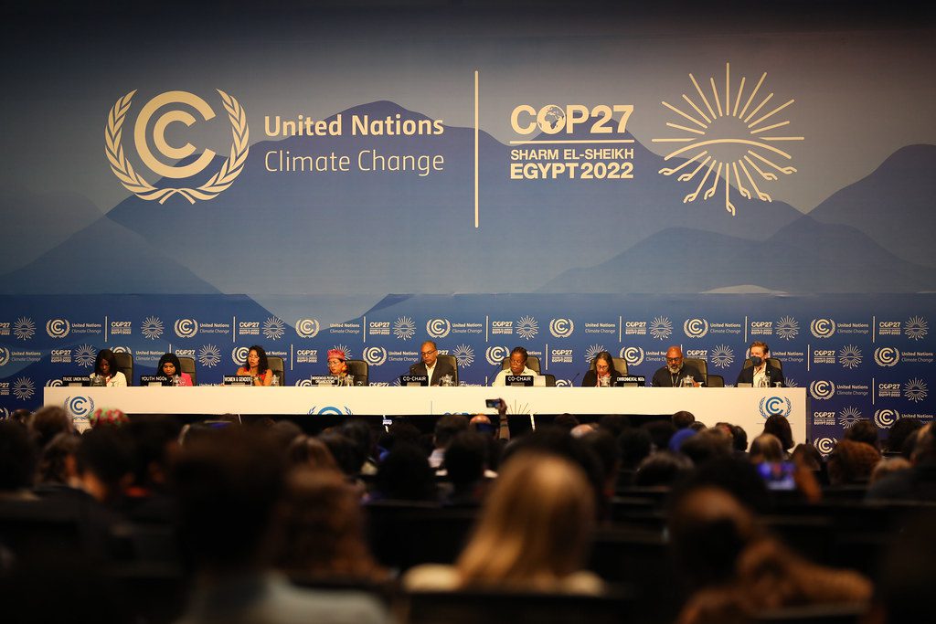 Durante la COP 27 si è svolta anche la People's Plenary, la plenaria della società civile.
