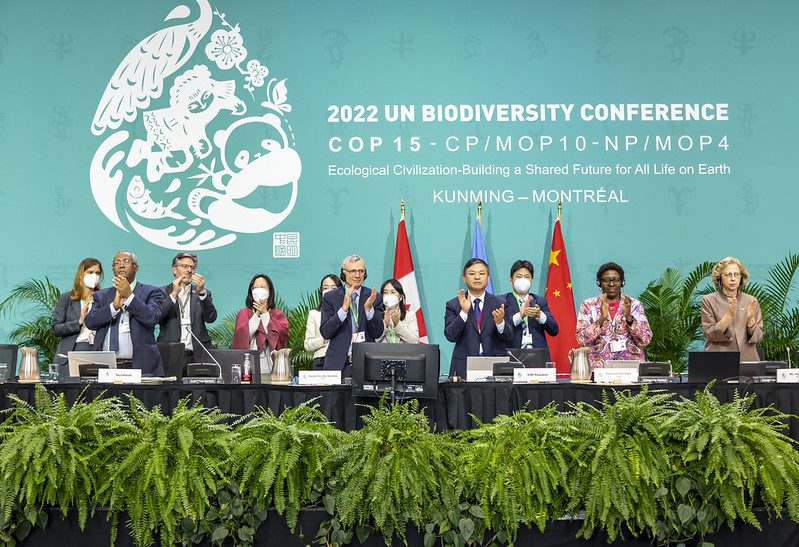 La presidenza della COP 15 esulta per l'adozione del GBF.