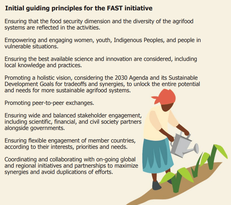 Alla COP27 è stato lanciato il programma FAST. Questi i principi che ne guidano l'operato.