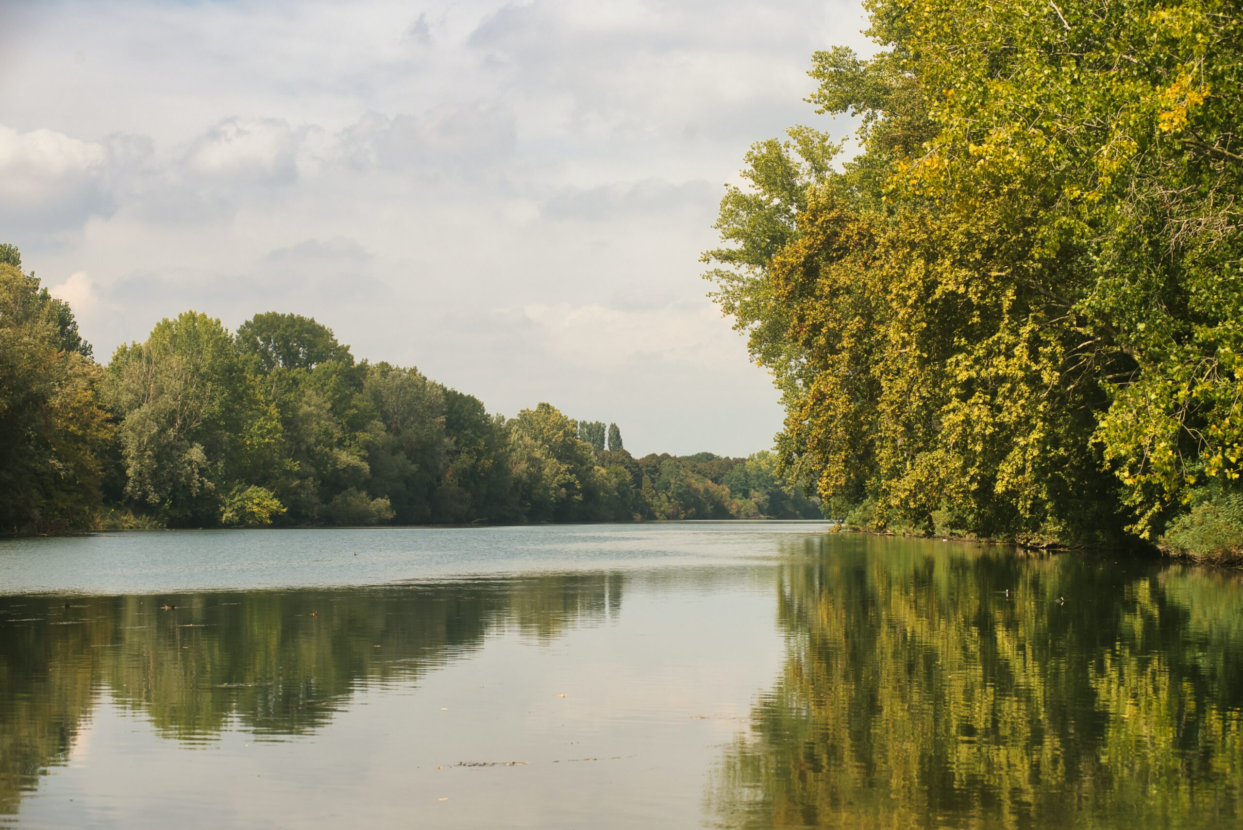 Tutelare la biodiversità fluviale è possibile attraverso il ripristino dei corsi d’acqua