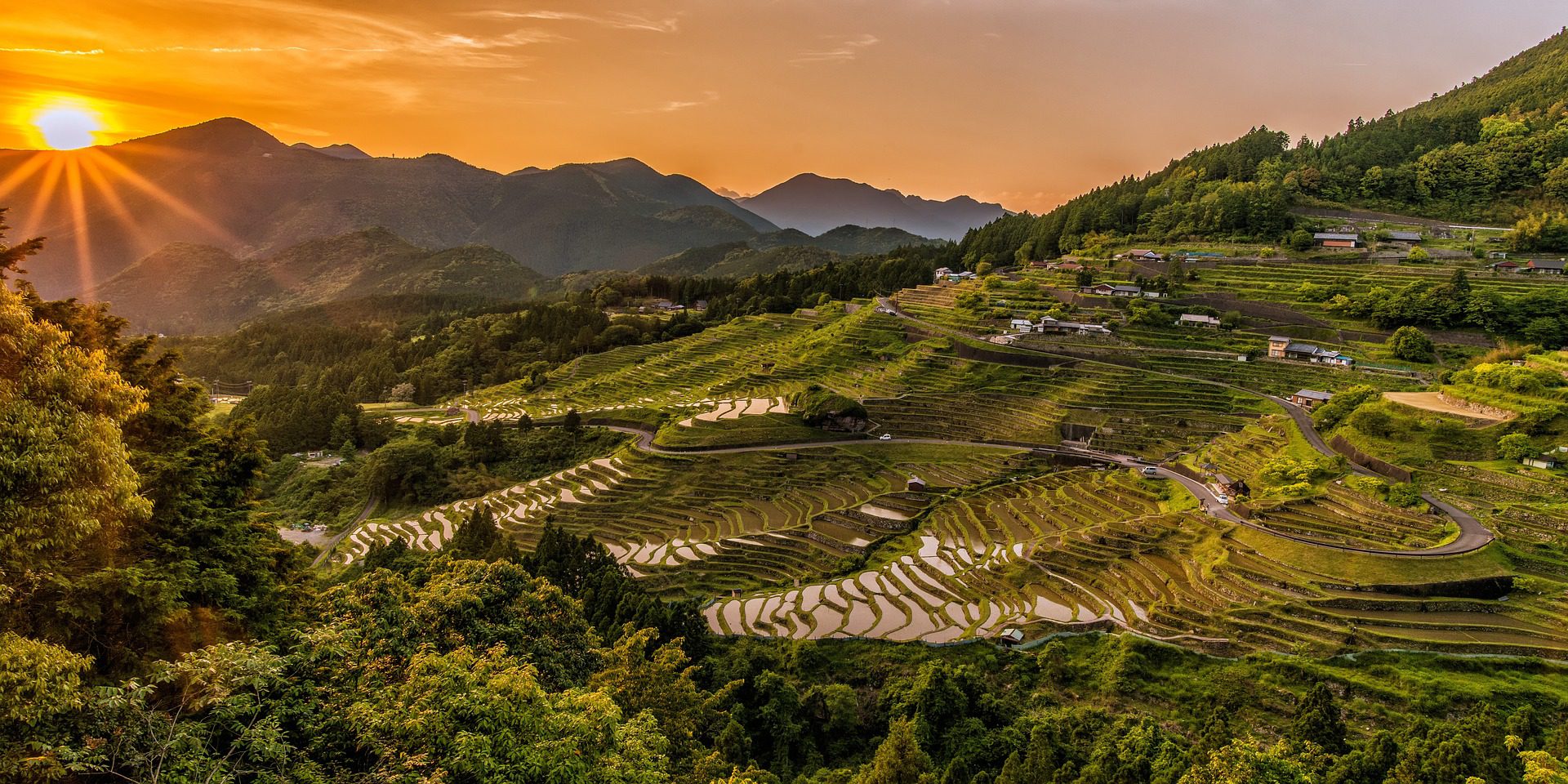 Terrazze di riso con sole che sorge. Foto di Kanenori.