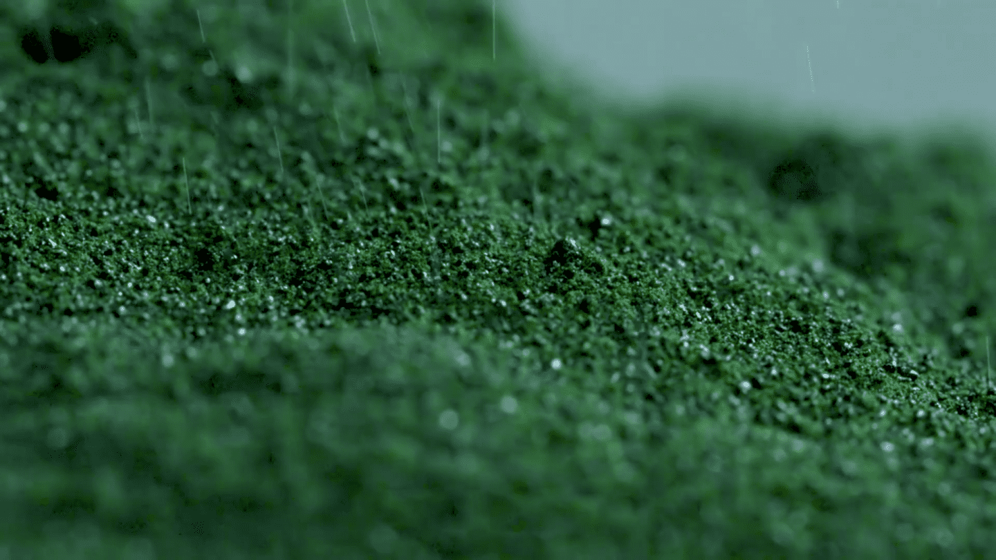 Alga spirulina, cresce il consumo in Italia: usi e benefici
