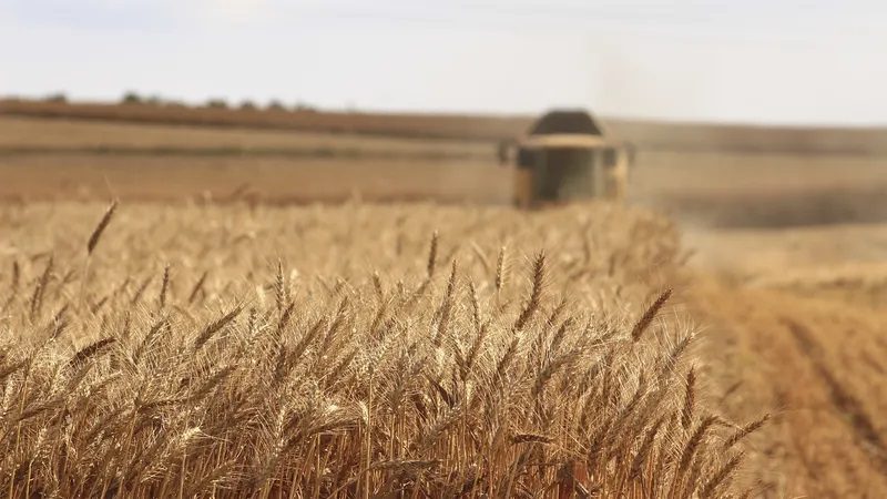 Accordi sul grano, siamo davvero al punto? ucraina https://www.rawpixel.com/image/3284034