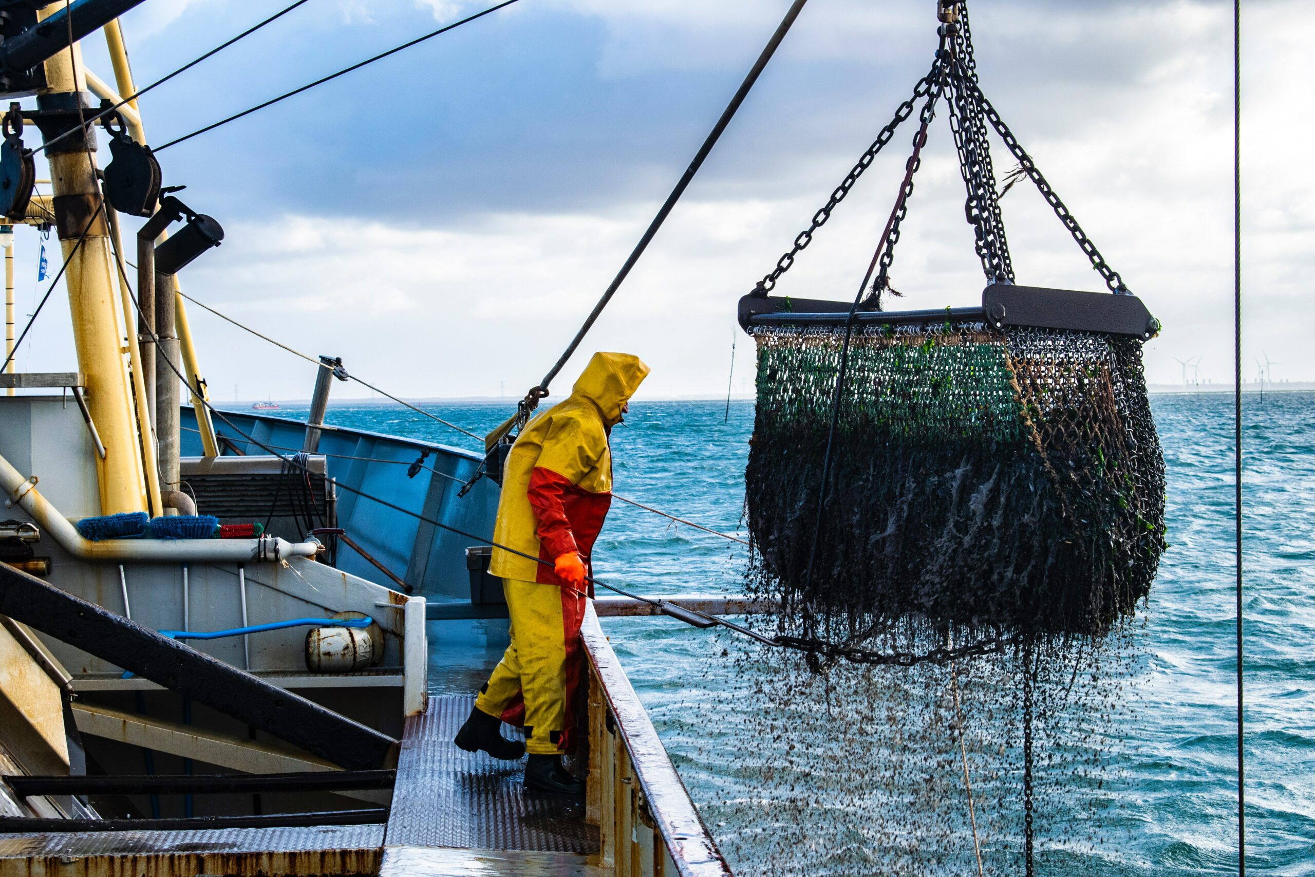 La pesca sostenibile è al centro del rinnovo della politica comune della pesca europea