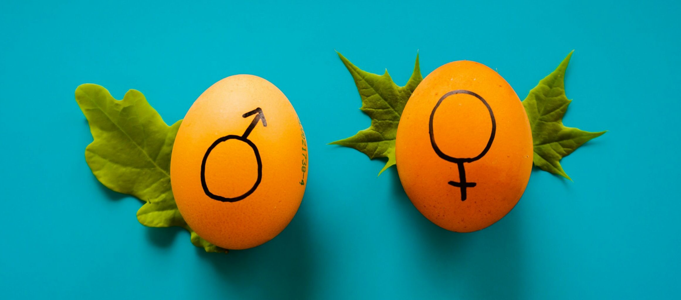 Educazione sessuale nelle scuole: l&rsquo;Italia tra problematiche e iniziative