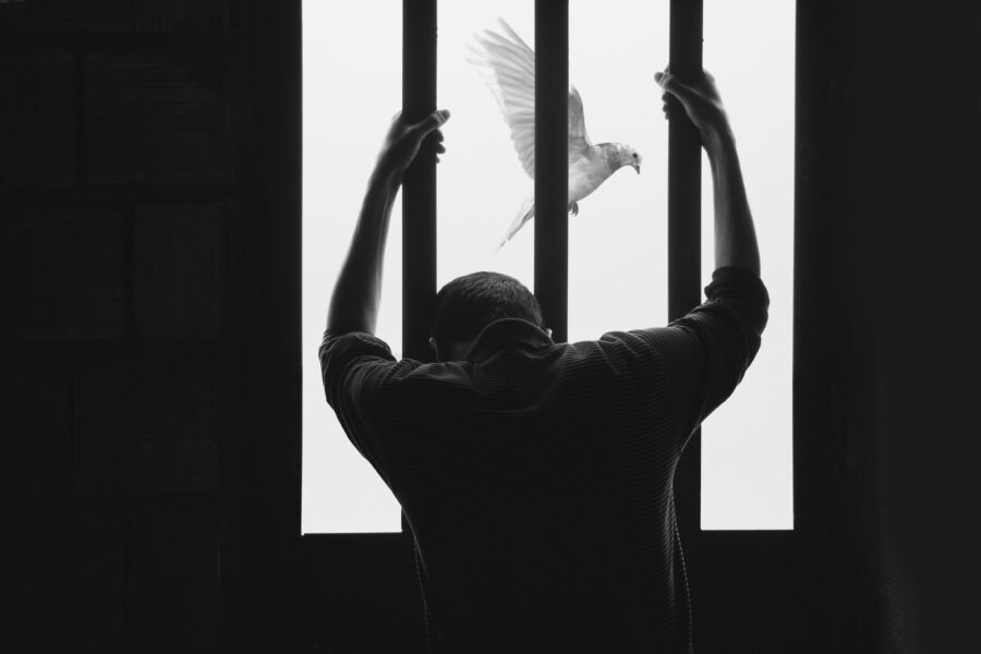 Abolire le carceri si può: in nome della sicurezza sociale e della libertà della Il carcere: misura minima a tutela delle libertà e la sicurezza sociale, Hasan Almasi, Unsplash, https://unsplash.com/it/@hasanalmasi