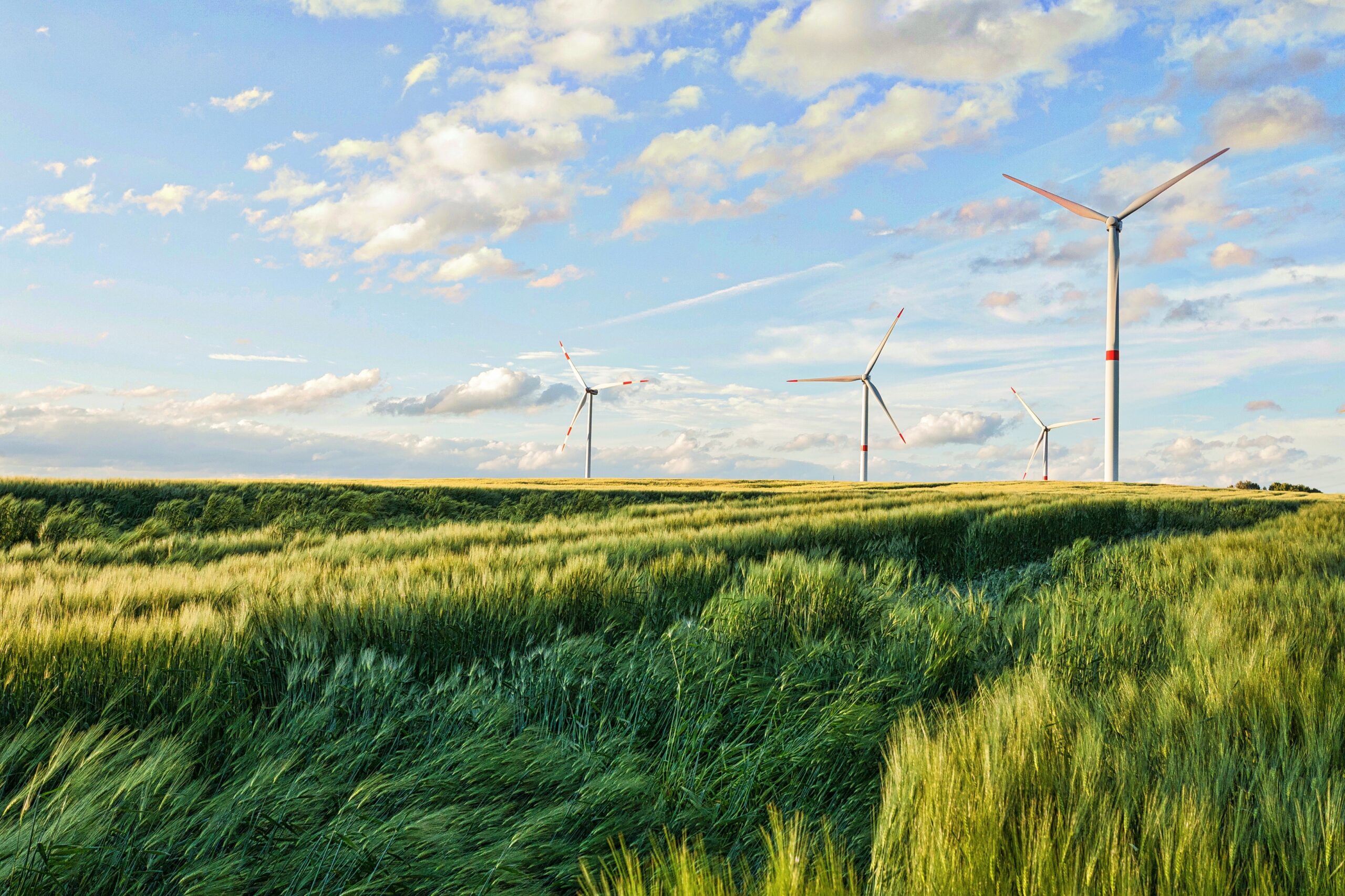 Energie rinnovabili: tecnologie per garantirne la conservazione