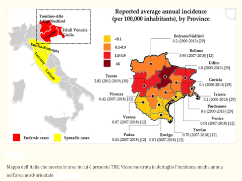 Zecche e zanzare in aumento: come praticare sport in sicurezza