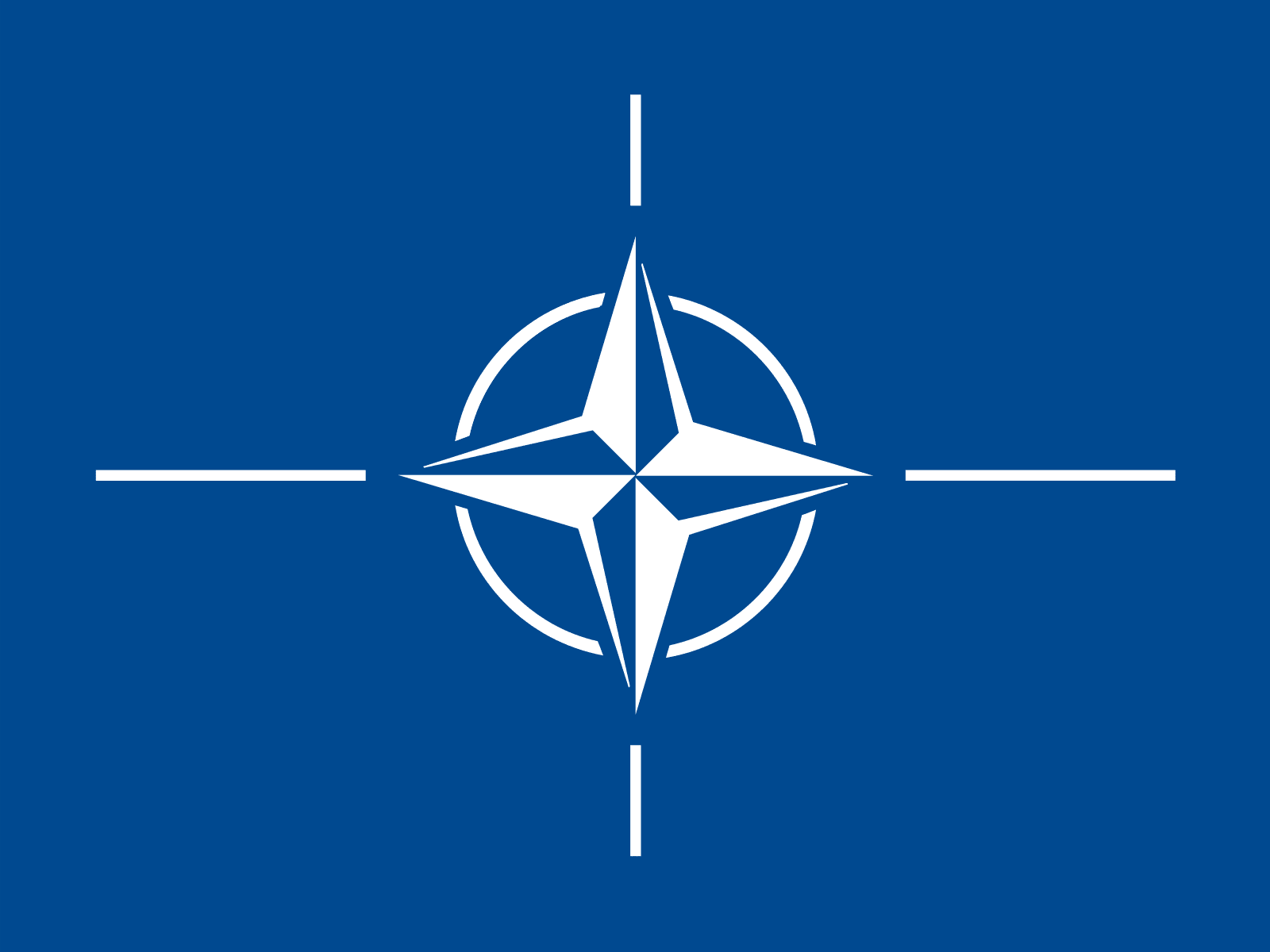 L’entrata della Svezia nella Nato e la scommessa per il futuro