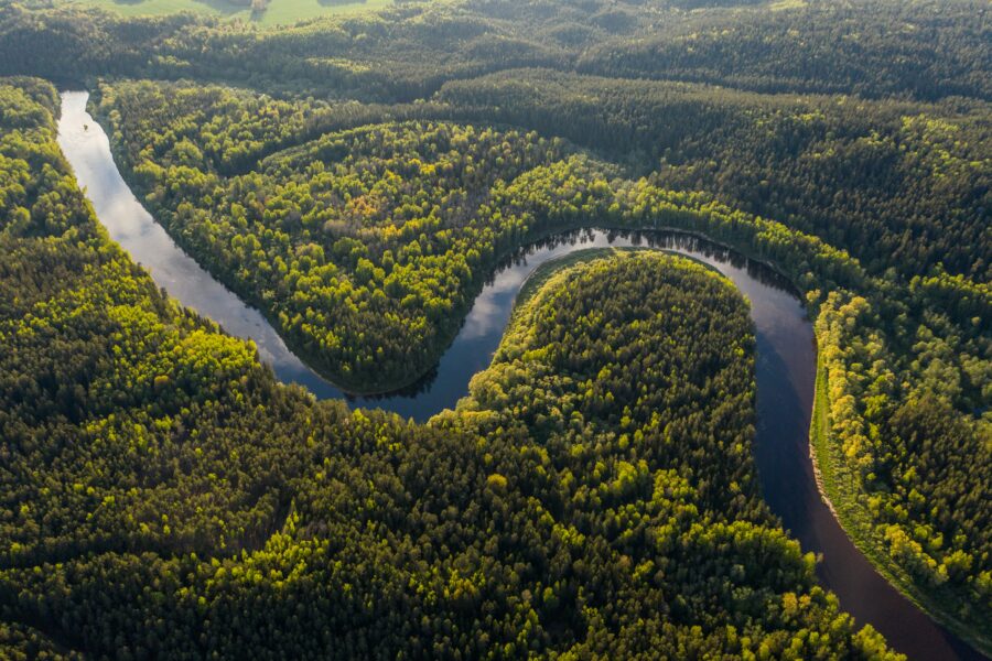 La foresta amazzonica oggi e le pratiche virtuose di democrazia in Ecuador attraverso il referendum. Il Summit e le altre iniziative per la tutela dell'ecosistema. Paesaggio con una foresta verde e un fiume.