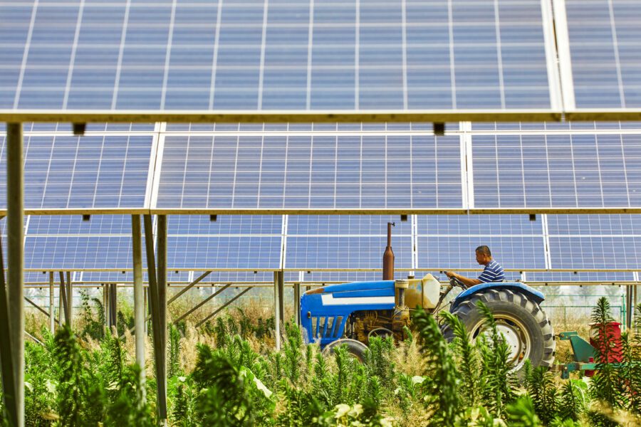 agrivoltaico, agricoltura e pannelli solari