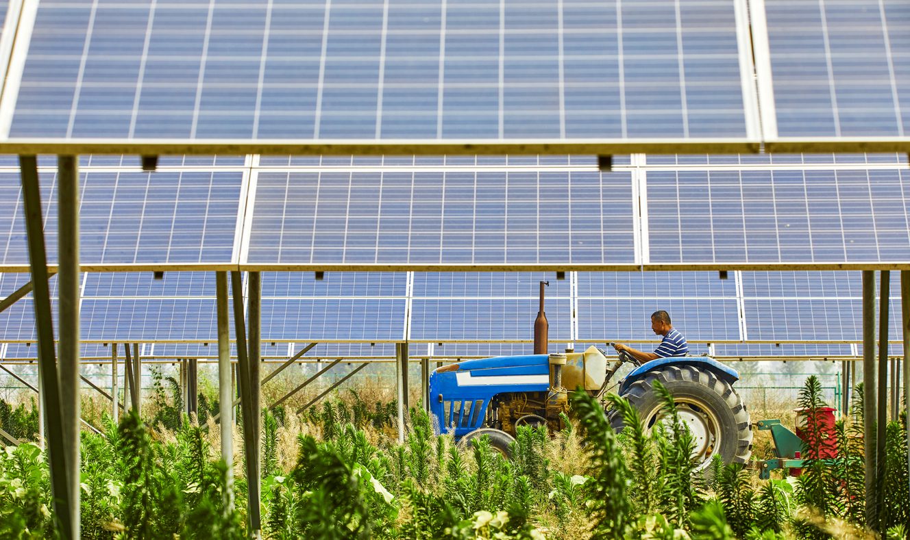 agrivoltaico, agricoltura e pannelli solari