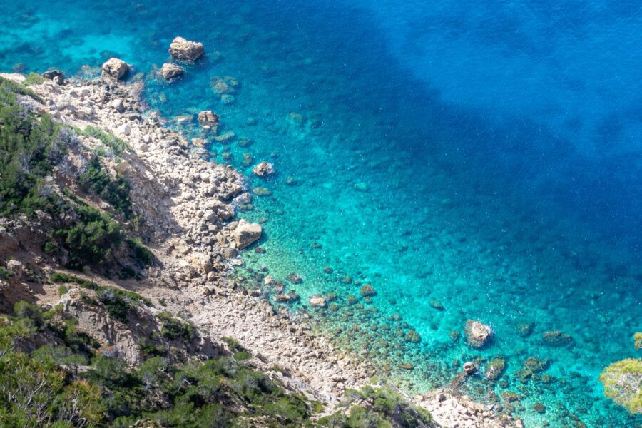 Posidonia oceanica, il polmone del Mar Mediterraneo