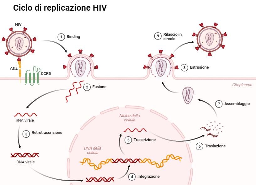 Giornata mondiale contro l'AIDS 2023 (WAD 2023)