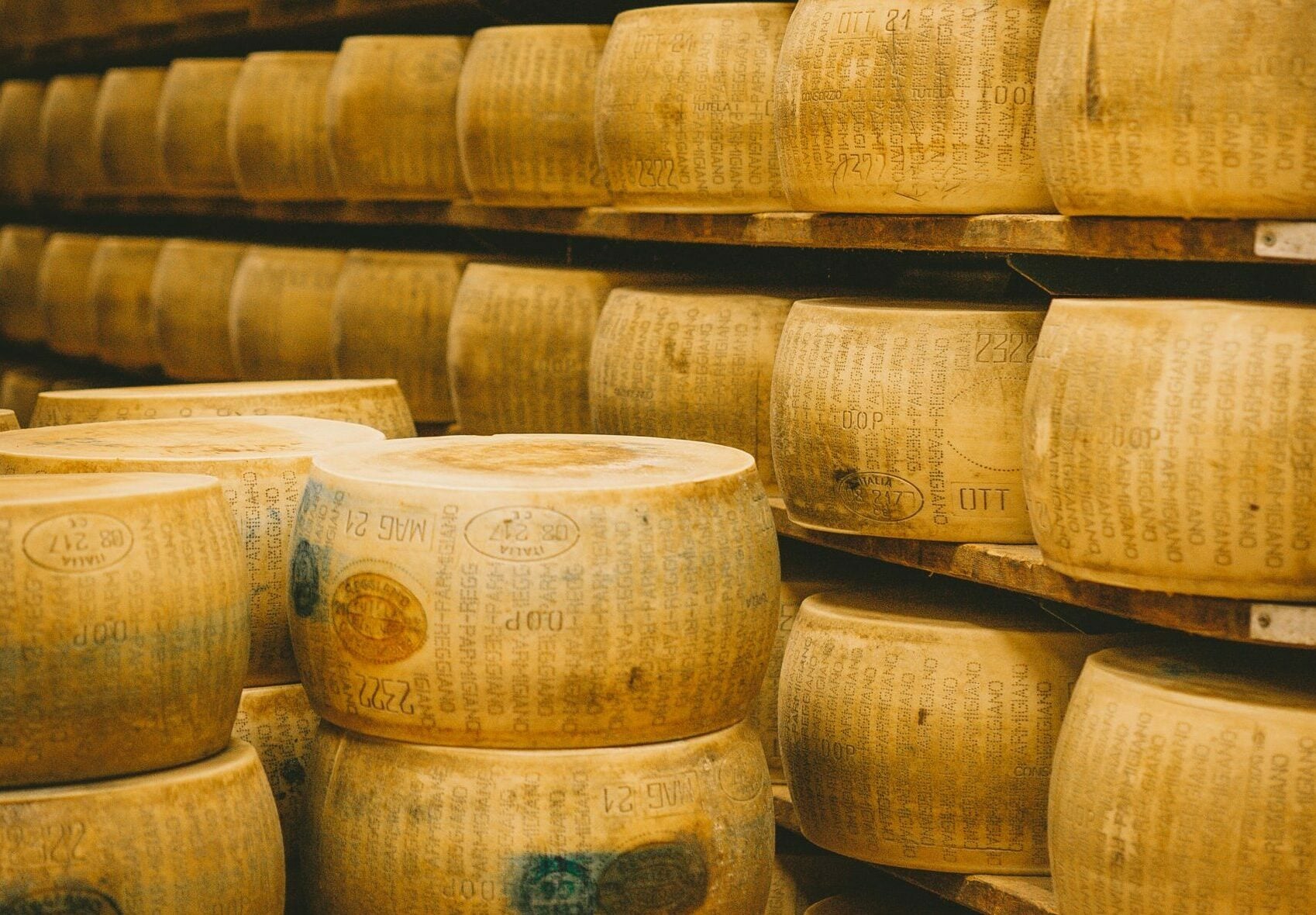 Food Valley italiana, il distretto agroalimentare &egrave; un caso di successo in Emilia