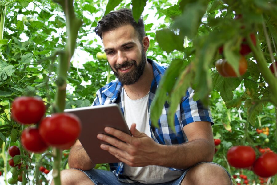 L'innovazione digitale rivoluziona l'agroalimentare grazie allo Smart AgriFood