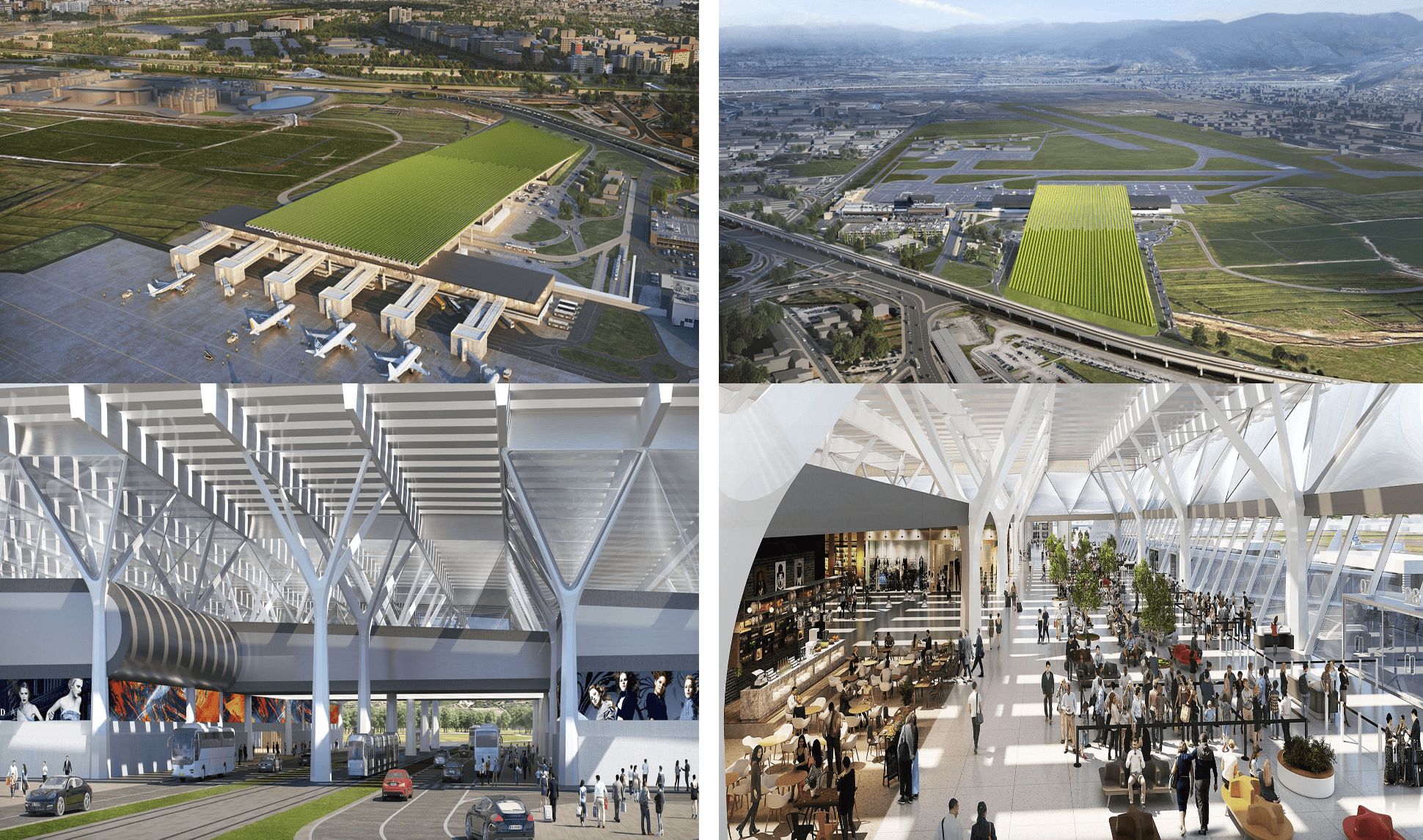 Bioarchitettura e sistemi green-roof: il nuovo aeroporto di Firenze ospiterà un vigneto