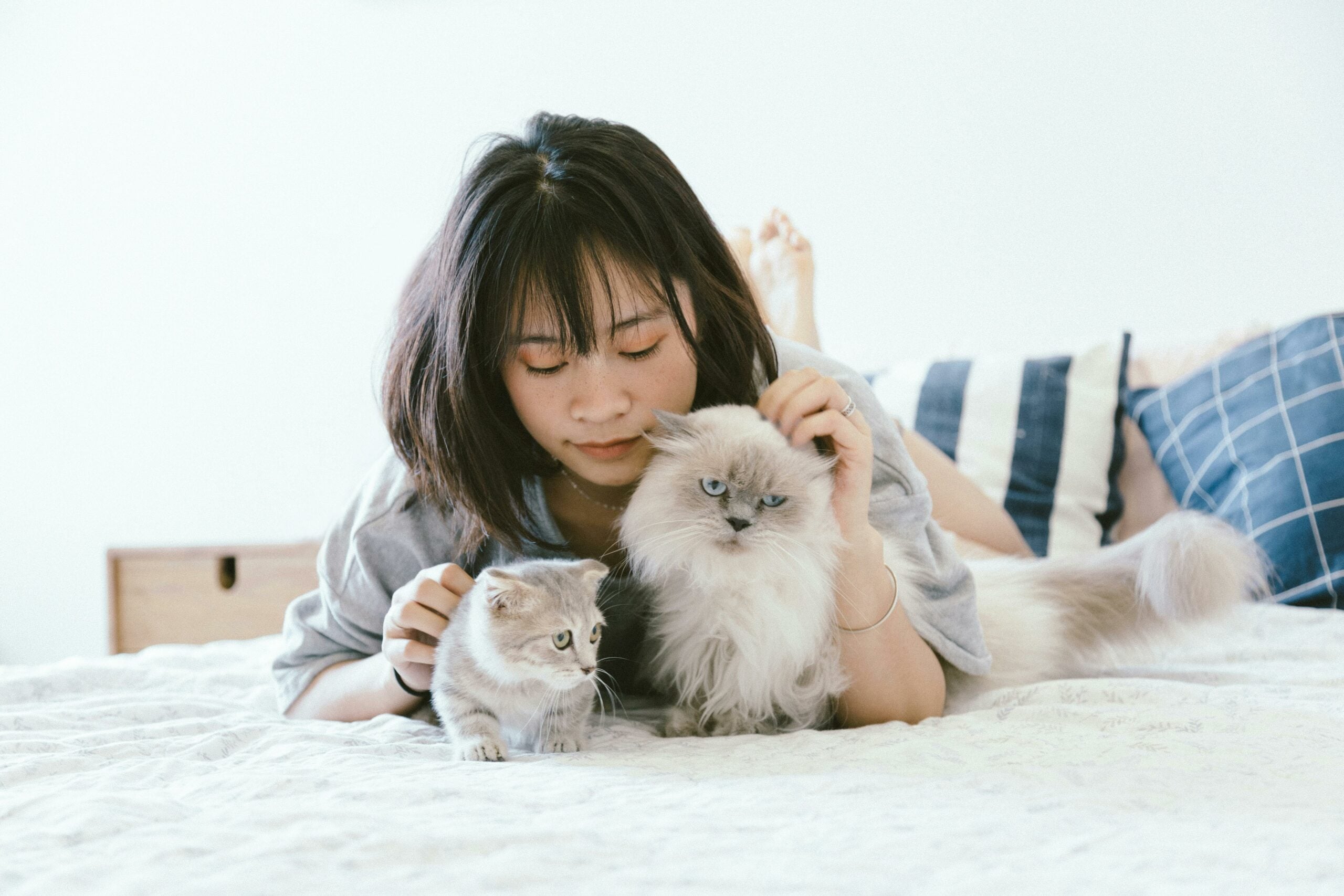 Animali domestici jpg. donna sdraiata sul letto con due gatti