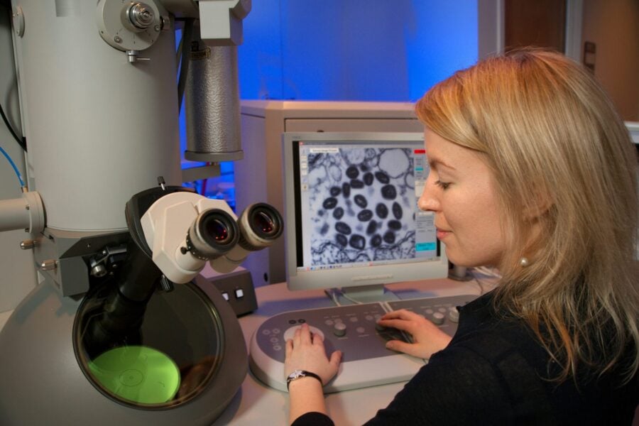 Materie plastiche e inquinamento acqua: una ricercatrice osserva al Pc i risultati del suo studio