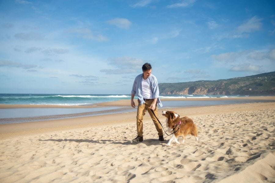 animali domestici: uomo passeggia in spiaggia con il suo cane