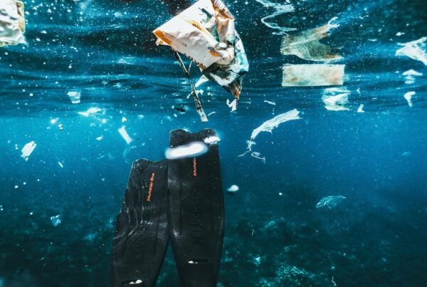 Da pescatore sprecone a raccoglitore di rifiuti: la nuova vita di Sean Bath
